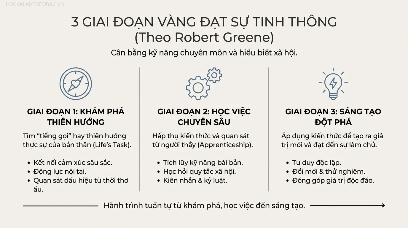 Ba giai đoạn của quá trình làm chủ: từ khám phá thiên hướng, học việc chuyên sâu đến sáng tạo đột phá.