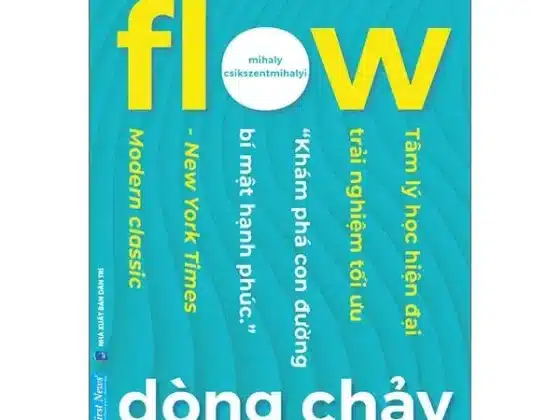Review Sách Flow - Dòng Chảy: Chìa Khóa Mở Cửa Hạnh Phúc Đích Thực